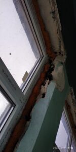 какие лучше сделать откосы на окнах